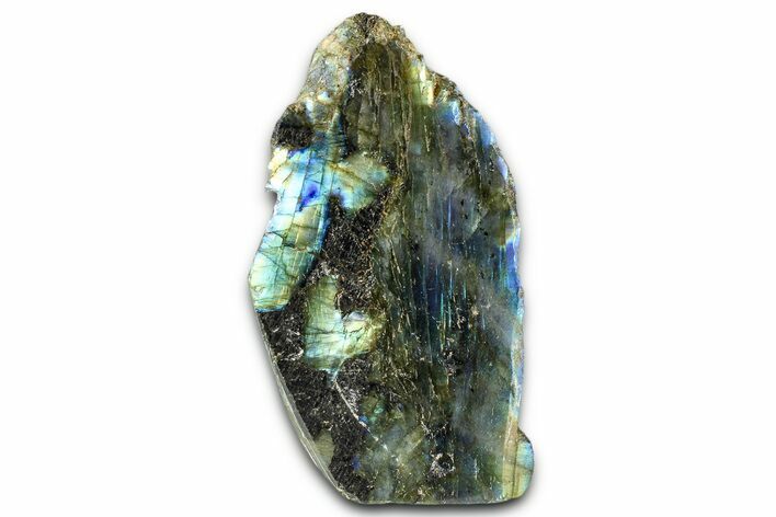 Single Side Polished Labradorite Section - Madagascar #364301
